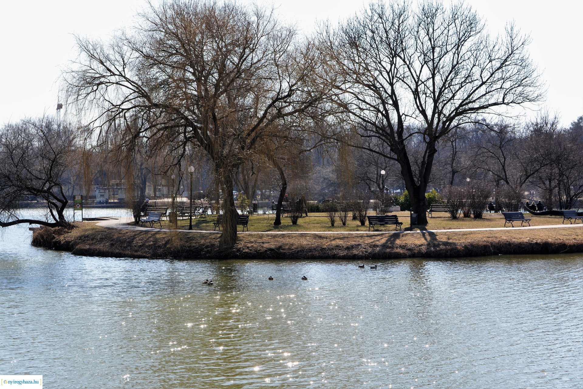 Megtelt Sóstó a tavaszi napsütésben