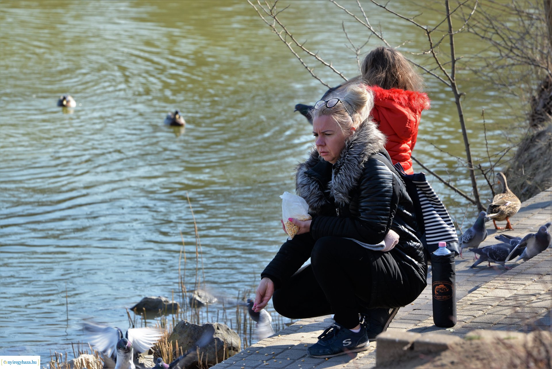 Megtelt Sóstó a tavaszi napsütésben