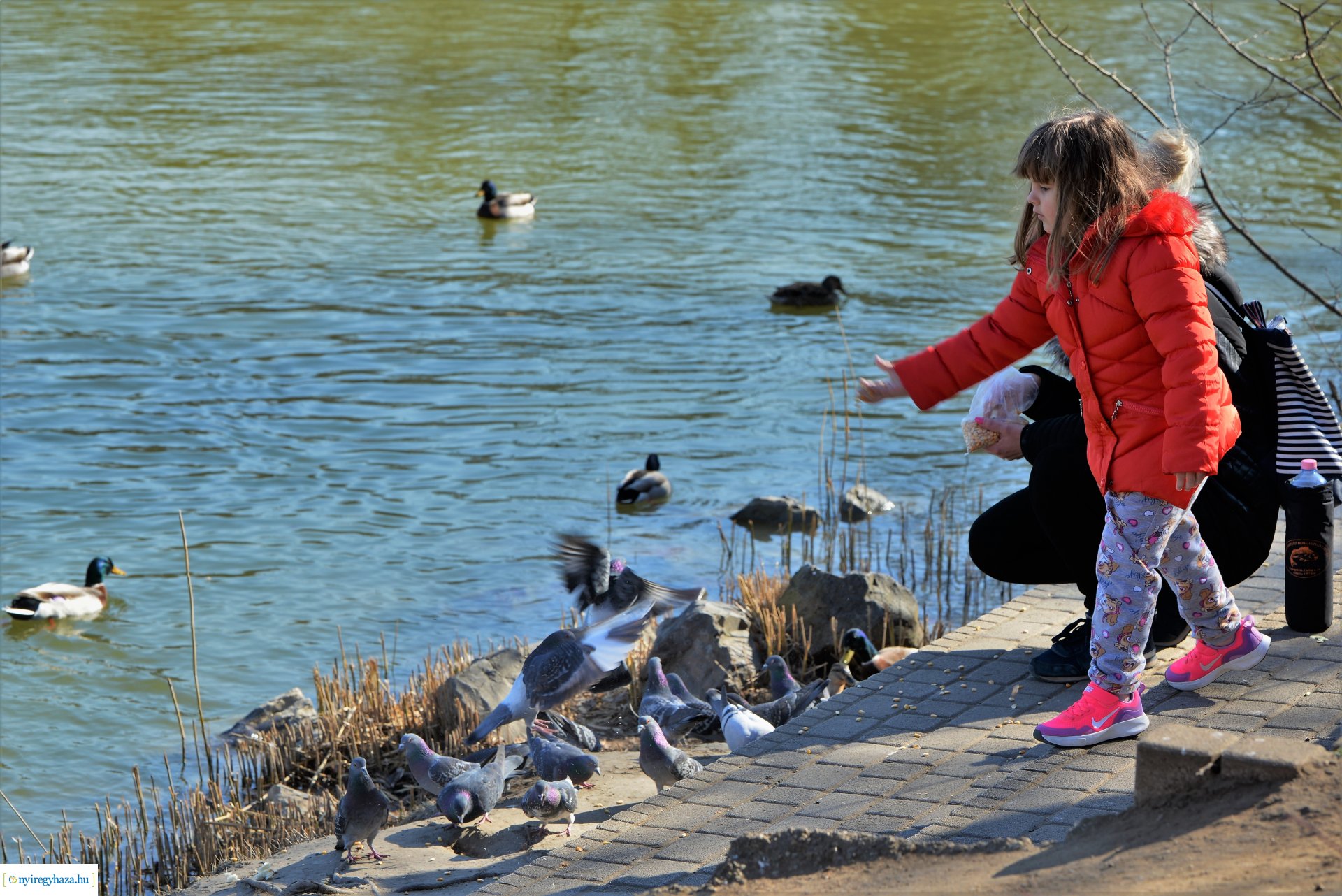 Megtelt Sóstó a tavaszi napsütésben