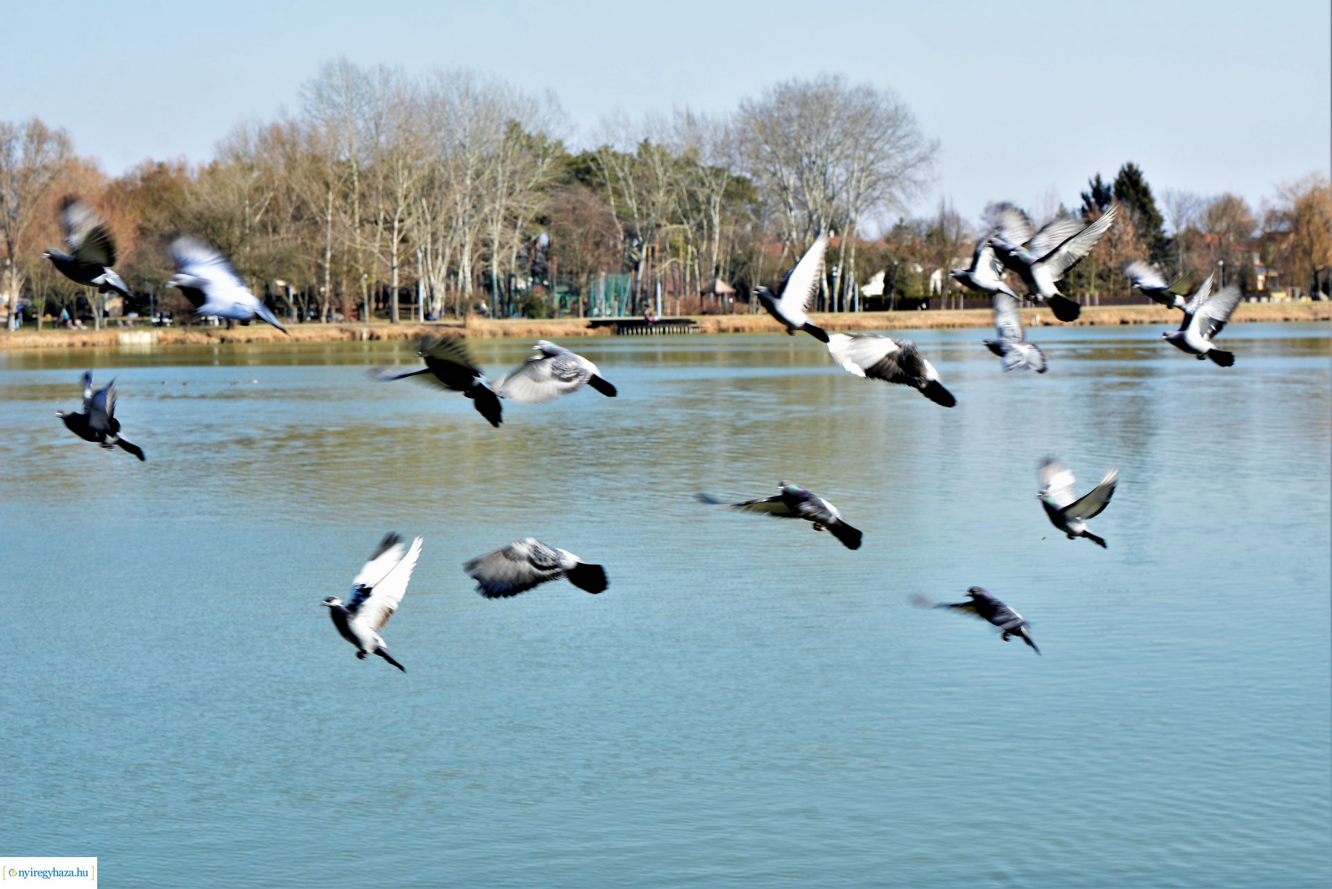 Megtelt Sóstó a tavaszi napsütésben