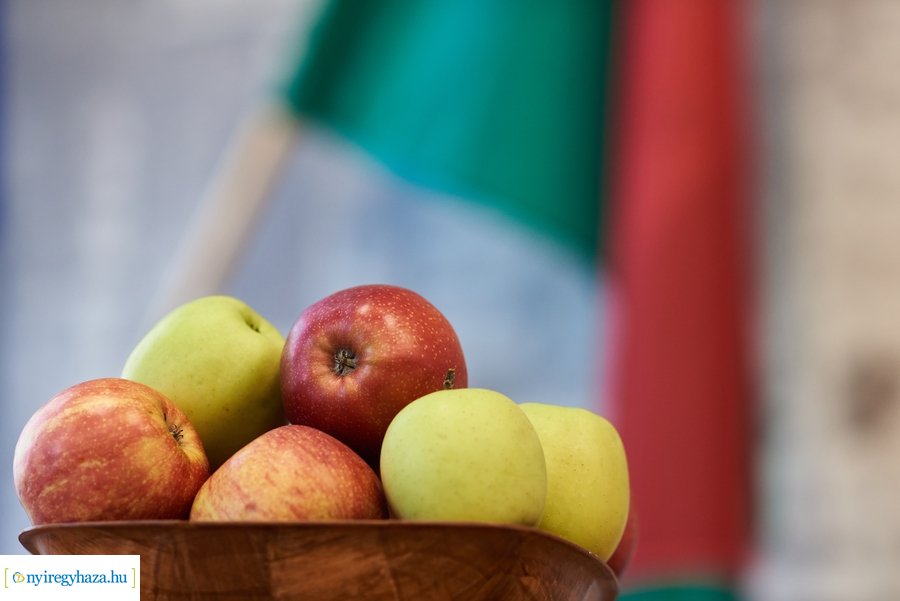 Megyei Értéktár sajtótájékoztató 20220203