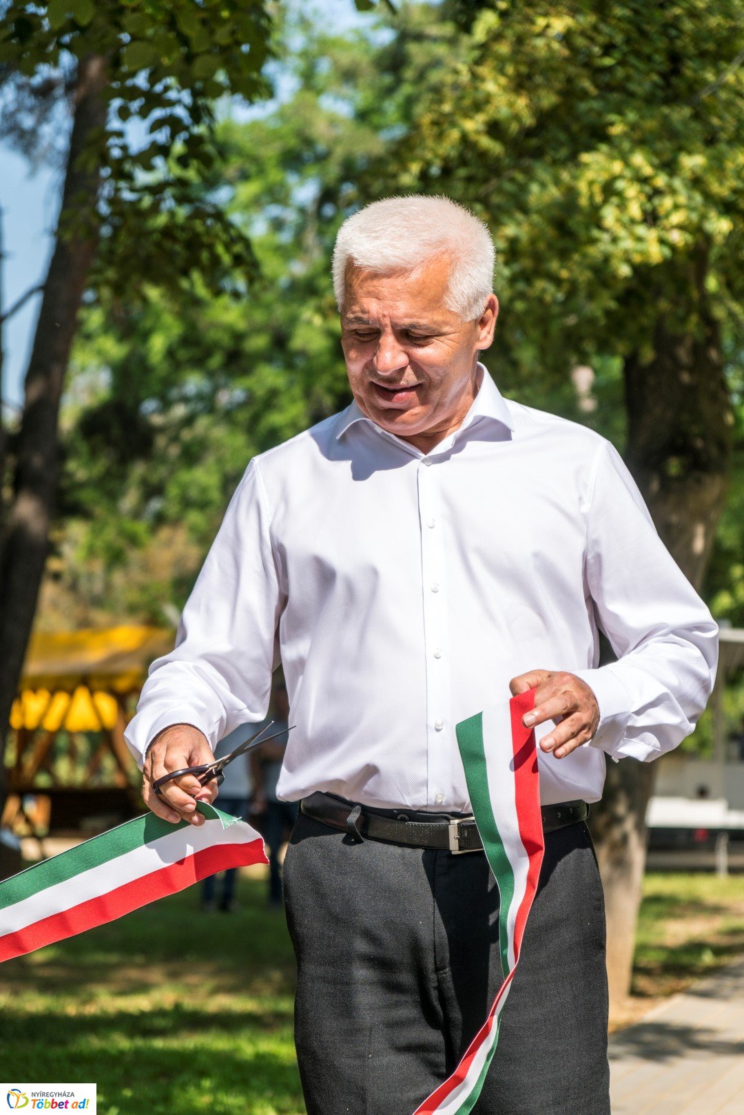 Megyei Jogú Városok Polgármesterei ültettek fákat Sóstógyógyfürdőn