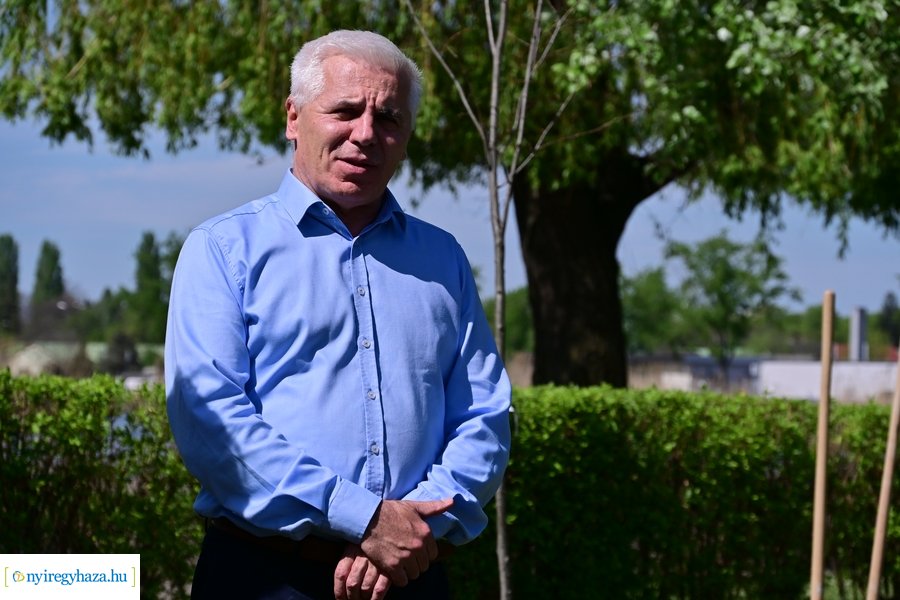 Michelin faültetés a Városligetben 20240409