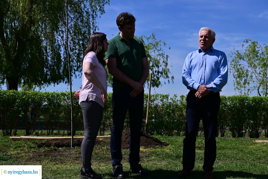 Michelin faültetés a Városligetben 20240409