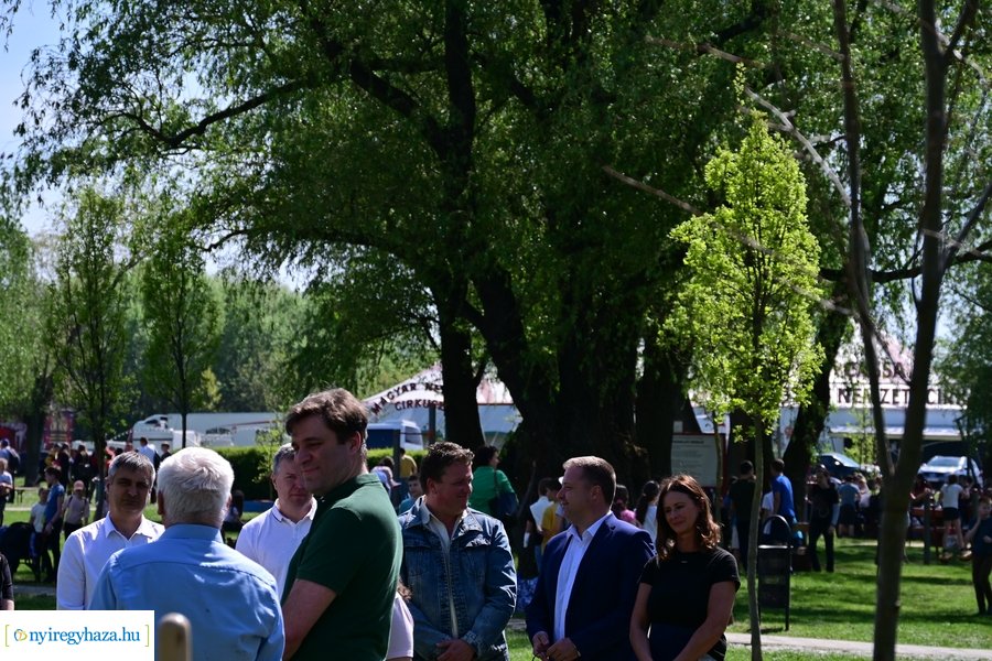 Michelin faültetés a Városligetben 20240409