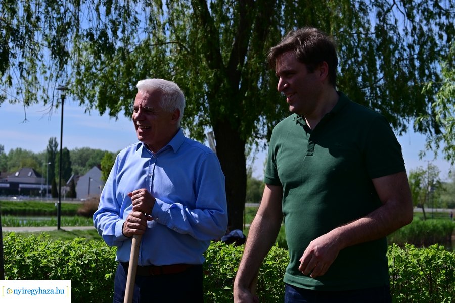 Michelin faültetés a Városligetben 20240409