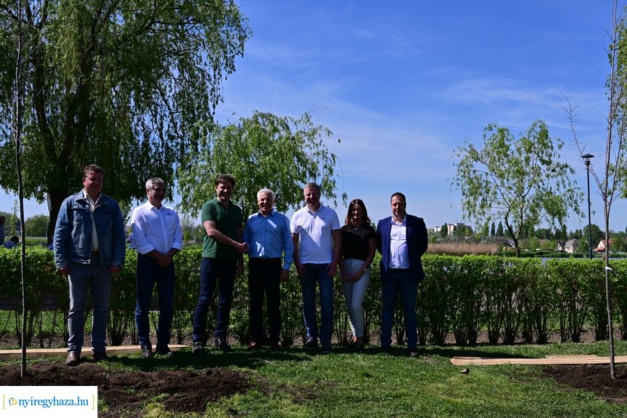 Michelin faültetés a Városligetben 20240409