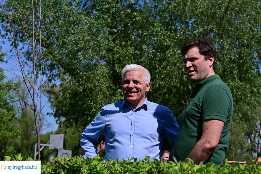 Michelin faültetés a Városligetben 20240409