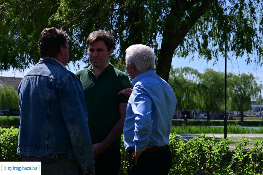 Michelin faültetés a Városligetben 20240409