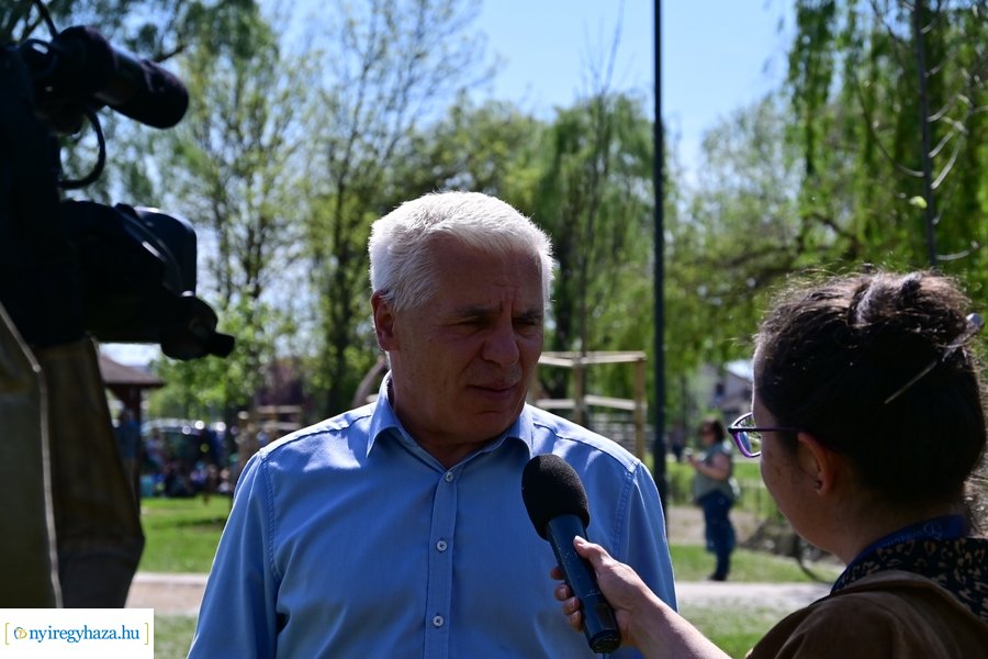 Michelin faültetés a Városligetben 20240409