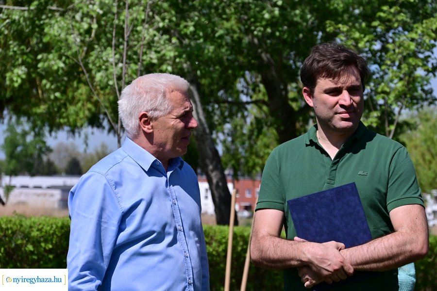 Michelin faültetés a Városligetben 20240409