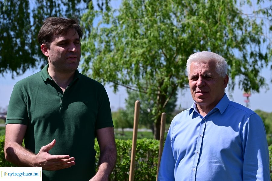 Michelin faültetés a Városligetben 20240409