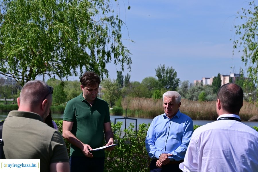 Michelin faültetés a Városligetben 20240409