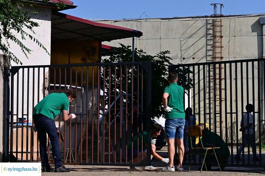 Michelin önkéntesek