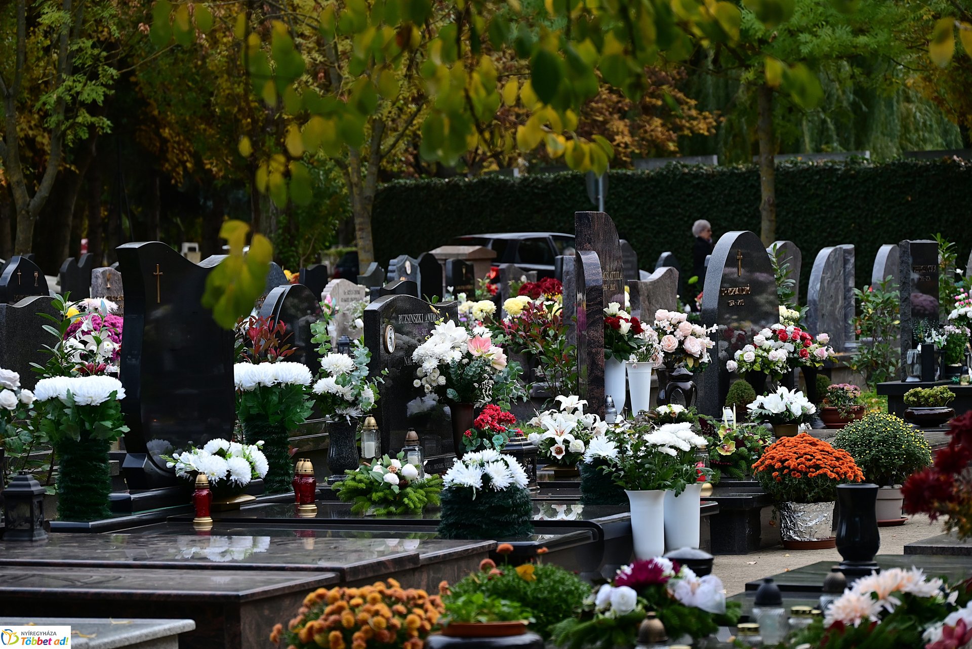 Millió színben pompázik az Északi temető