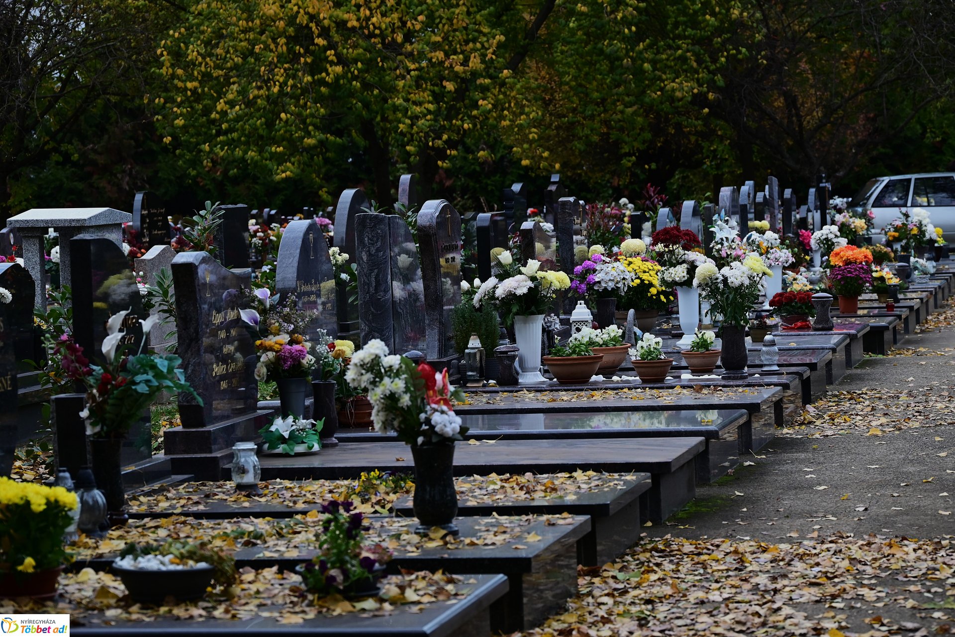 Millió színben pompázik az Északi temető