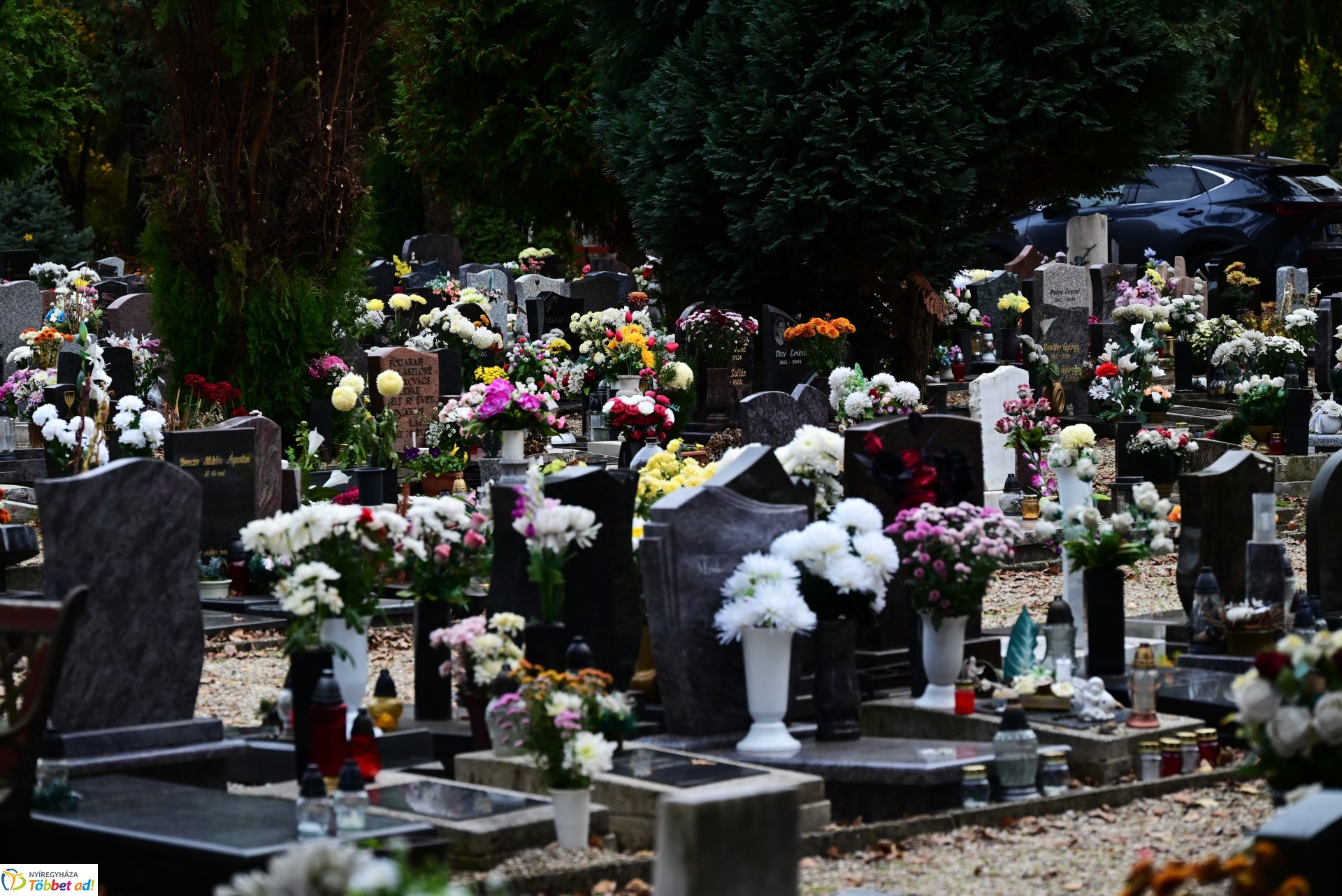 Millió színben pompázik az Északi temető