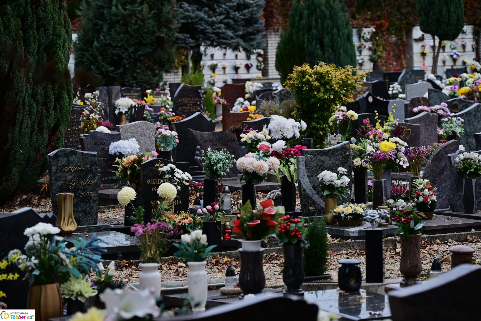 Millió színben pompázik az Északi temető