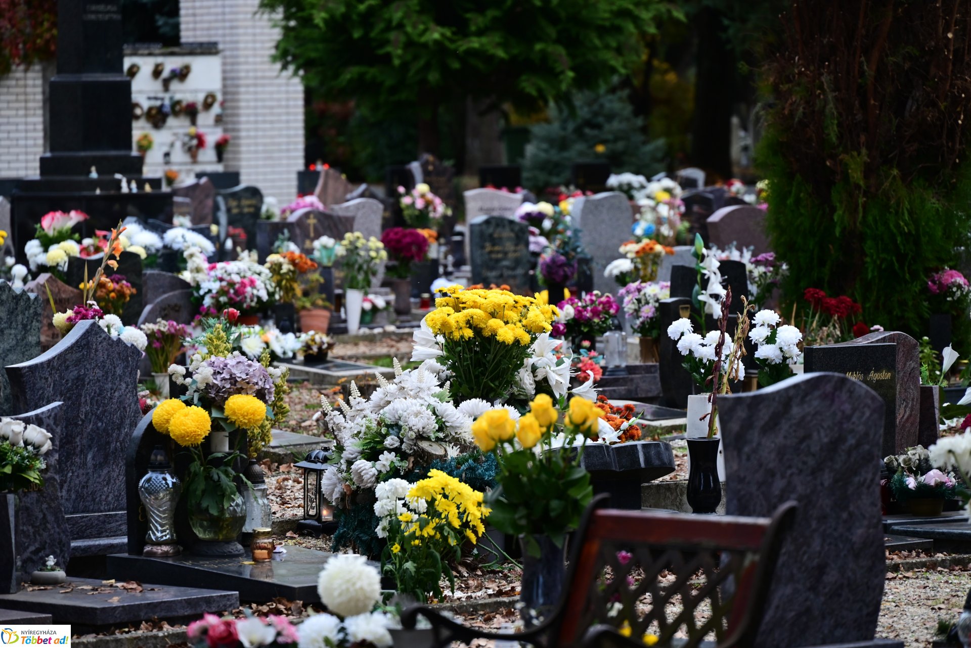 Millió színben pompázik az Északi temető