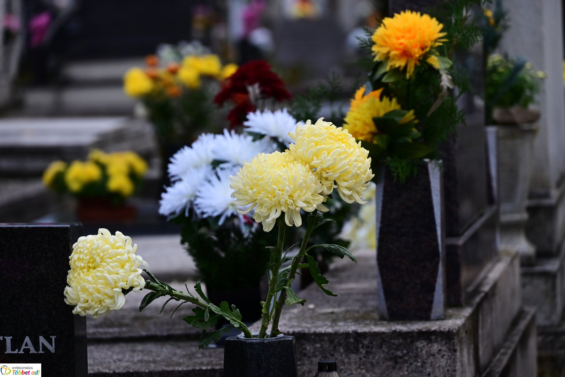 Millió színben pompázik az Északi temető