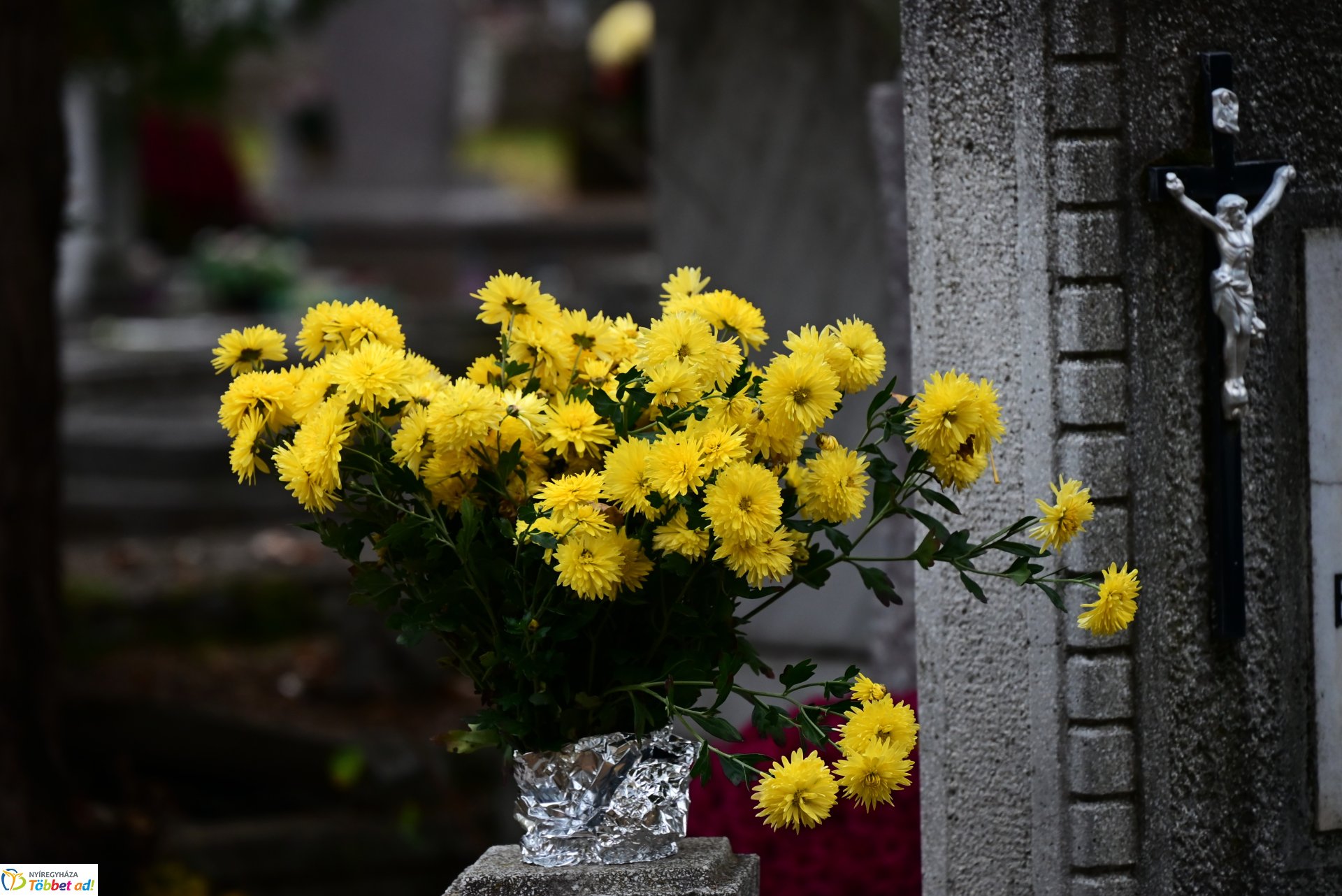 Millió színben pompázik az Északi temető