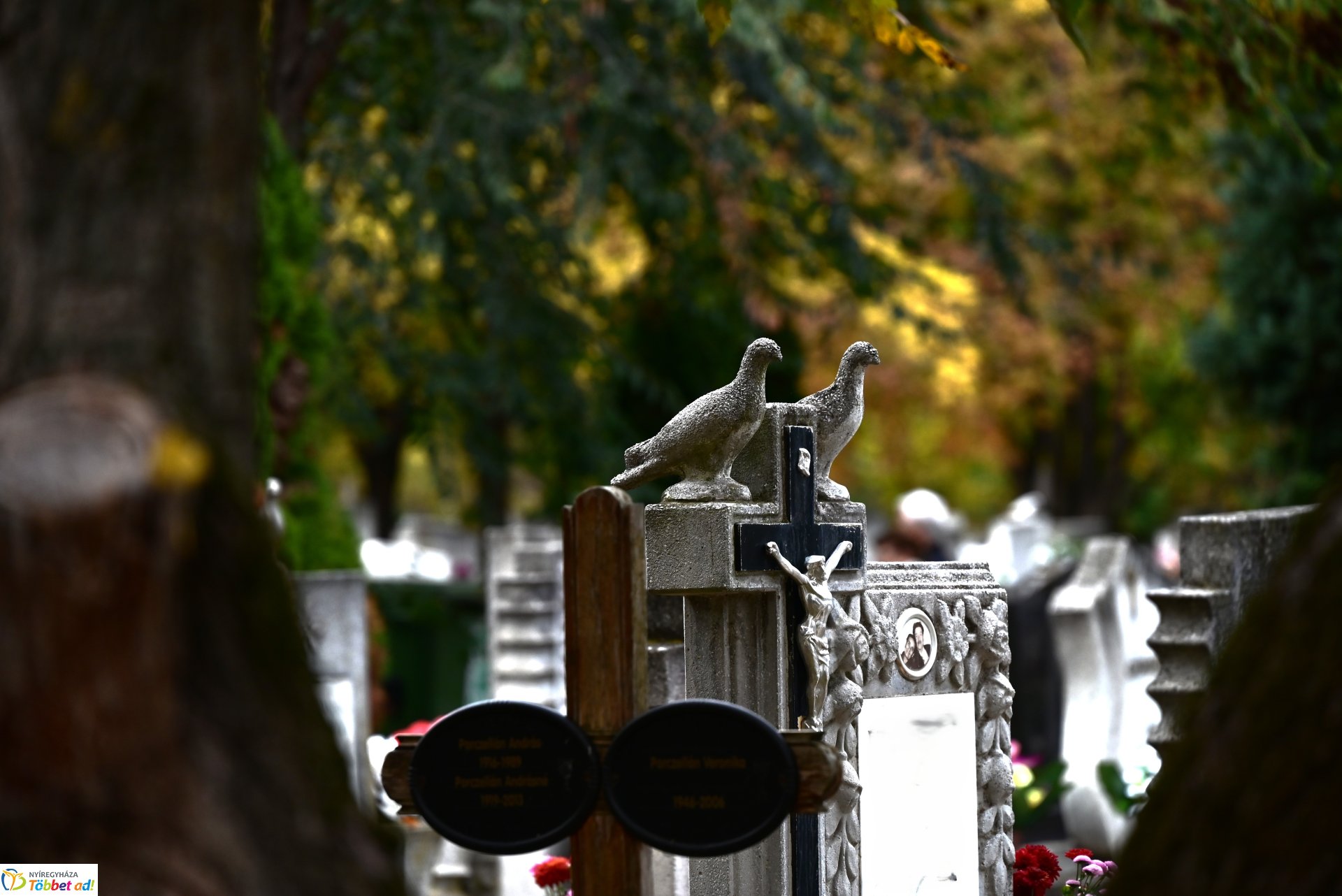 Millió színben pompázik az Északi temető