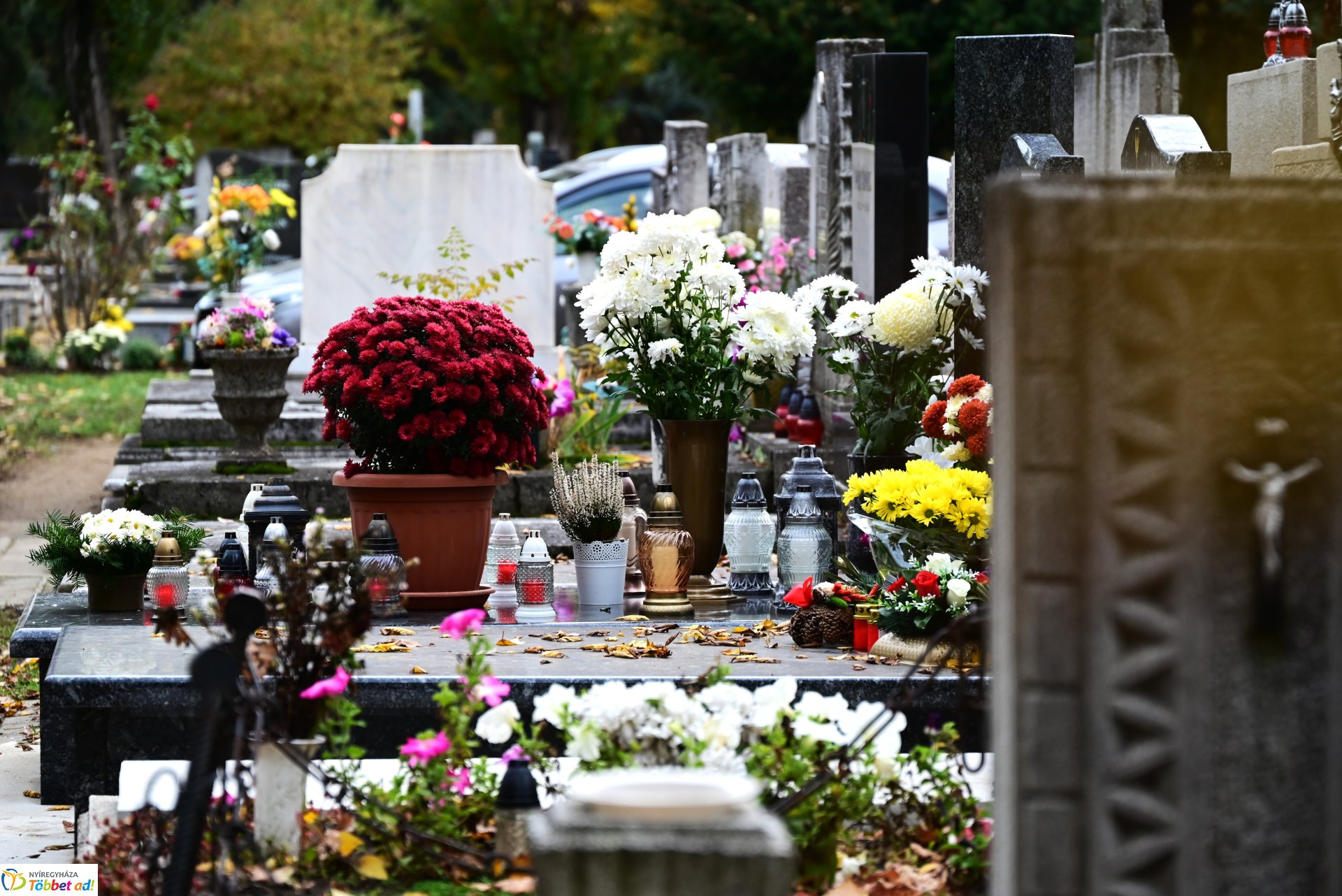 Millió színben pompázik az Északi temető
