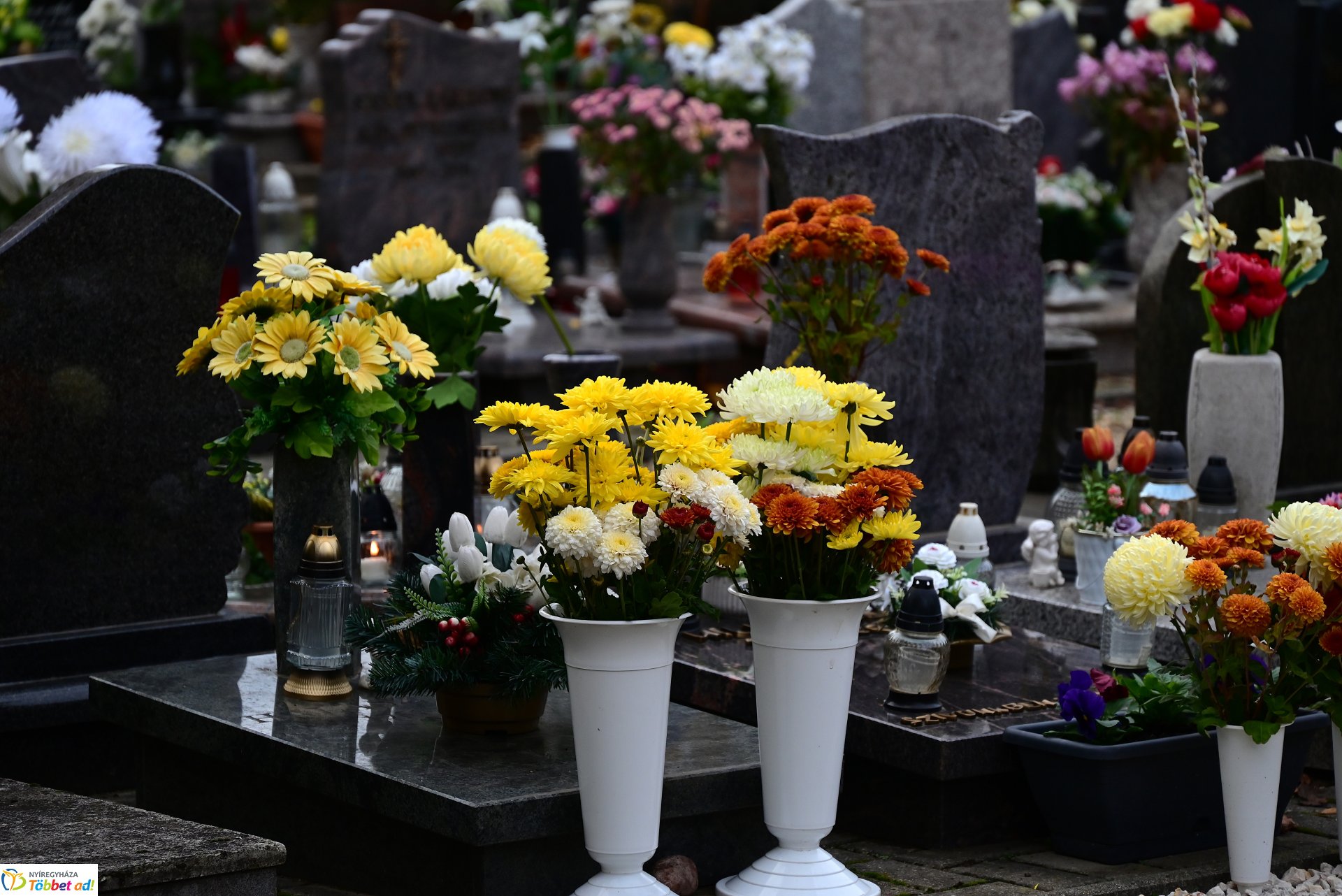 Millió színben pompázik az Északi temető