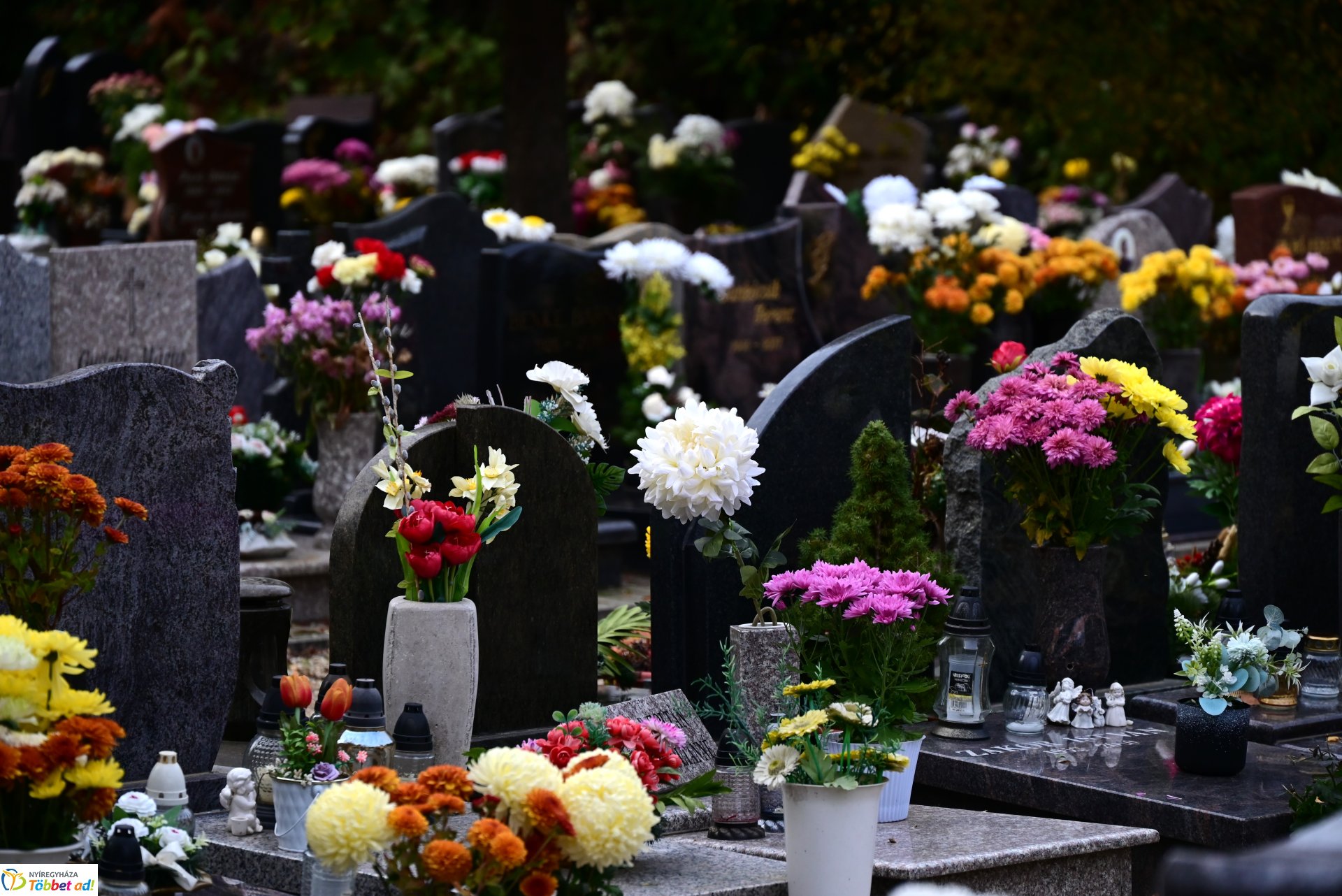 Millió színben pompázik az Északi temető