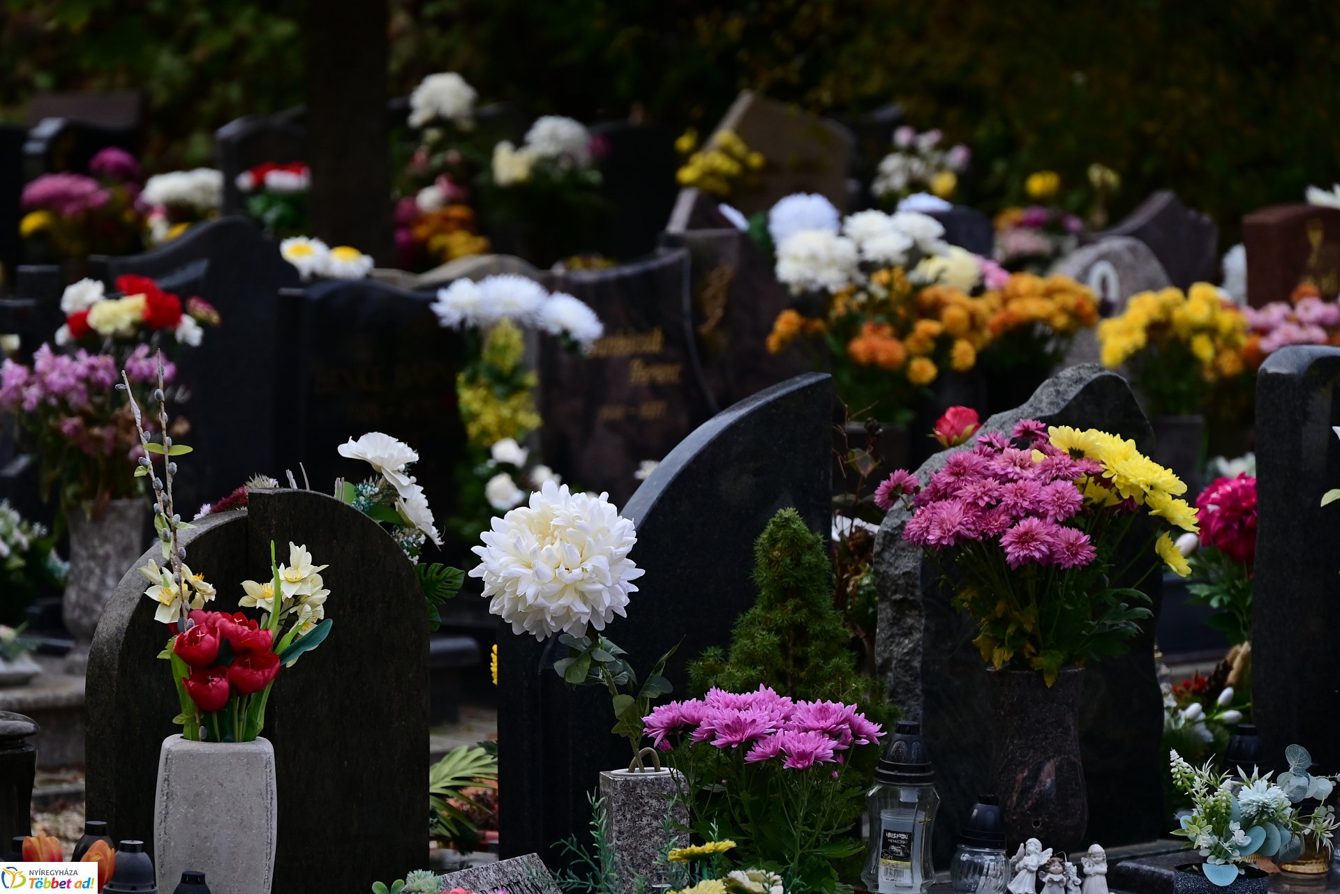 Millió színben pompázik az Északi temető