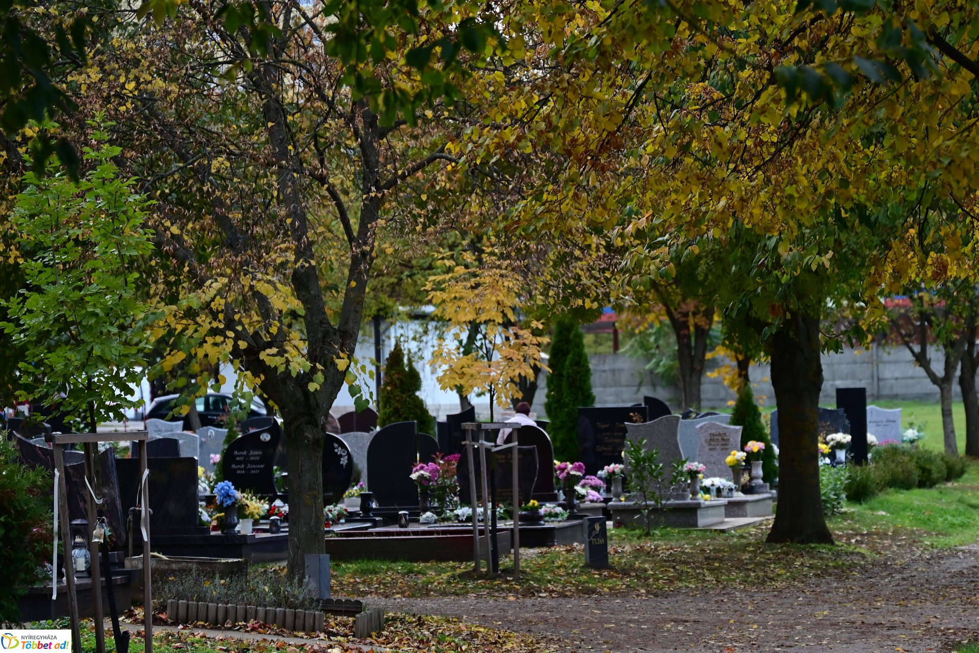 Millió színben pompázik az Északi temető