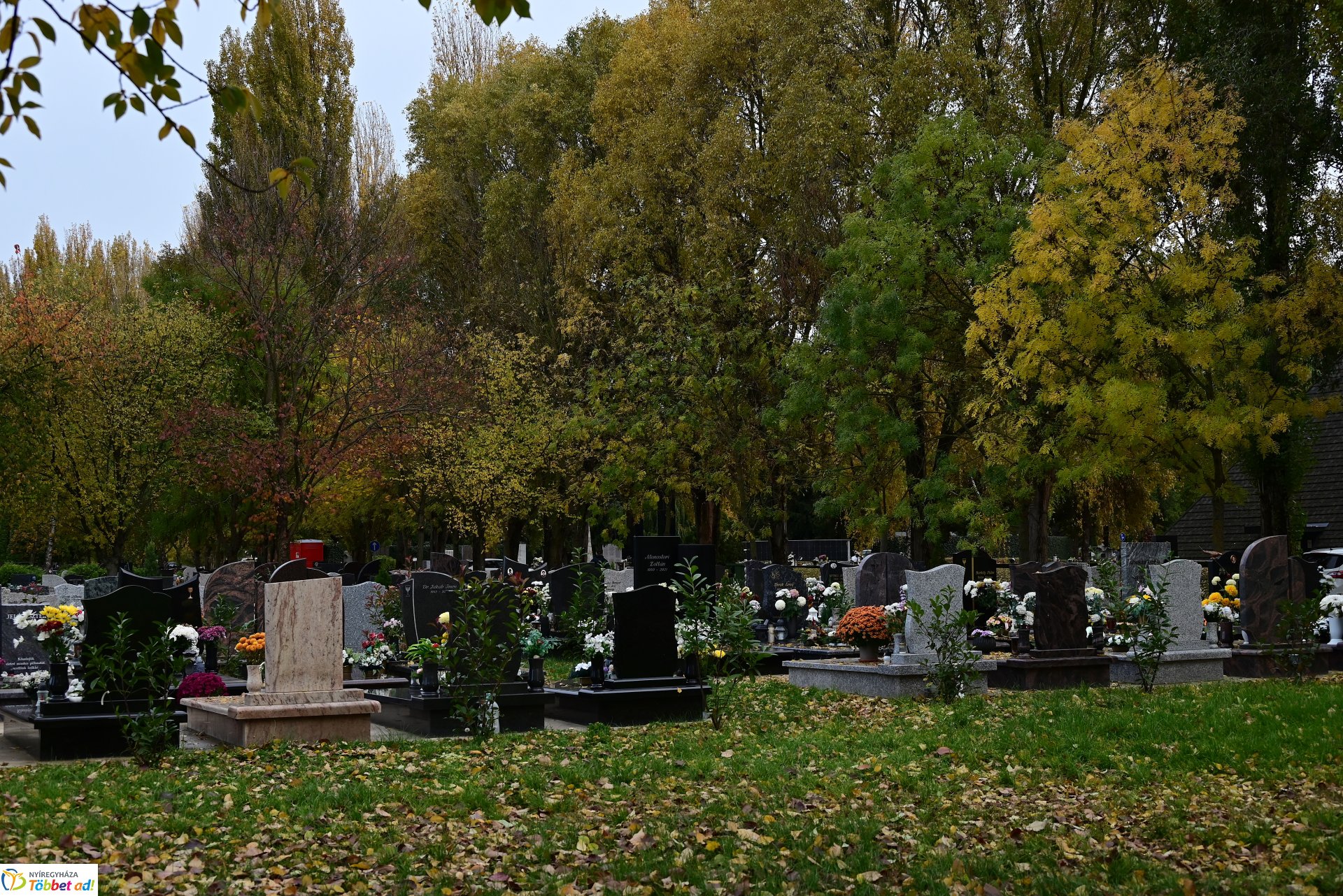 Millió színben pompázik az Északi temető