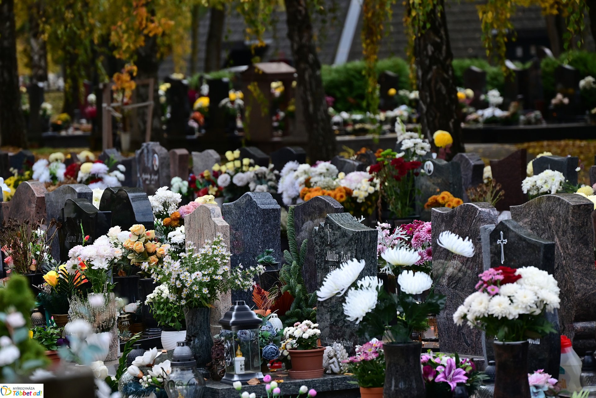Millió színben pompázik az Északi temető