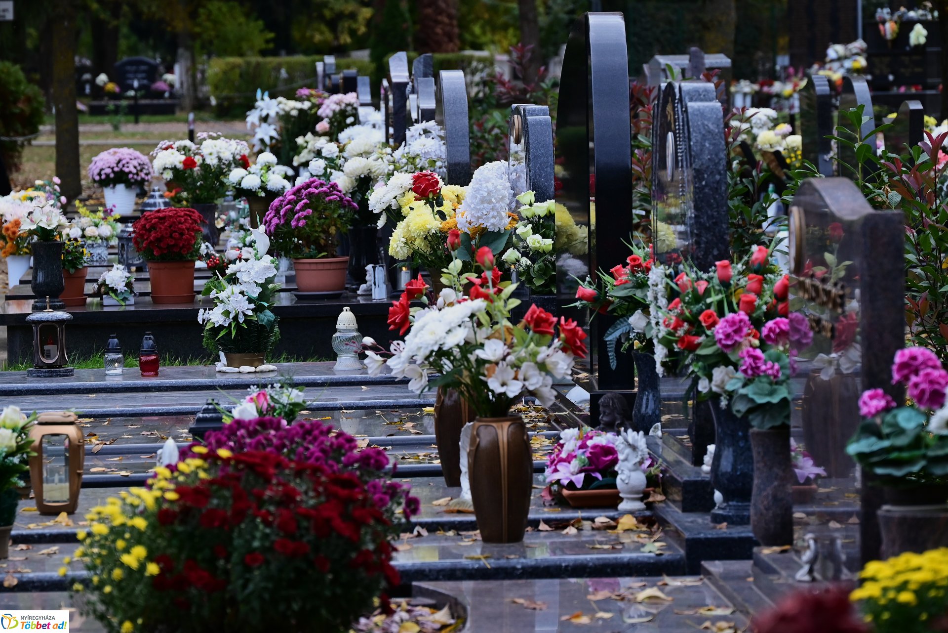 Millió színben pompázik az Északi temető