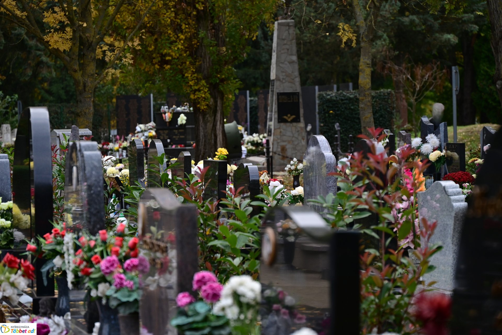 Millió színben pompázik az Északi temető