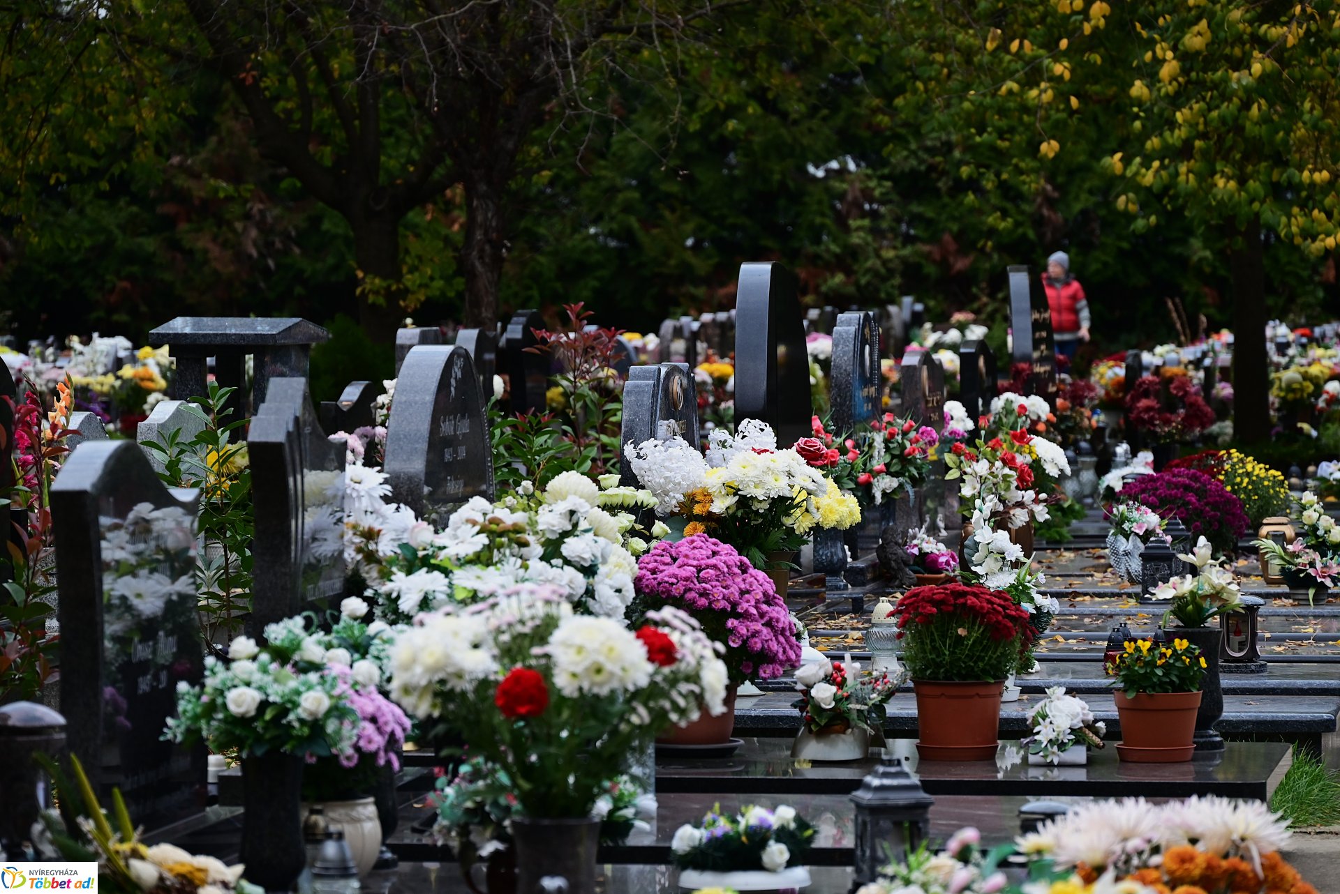 Millió színben pompázik az Északi temető