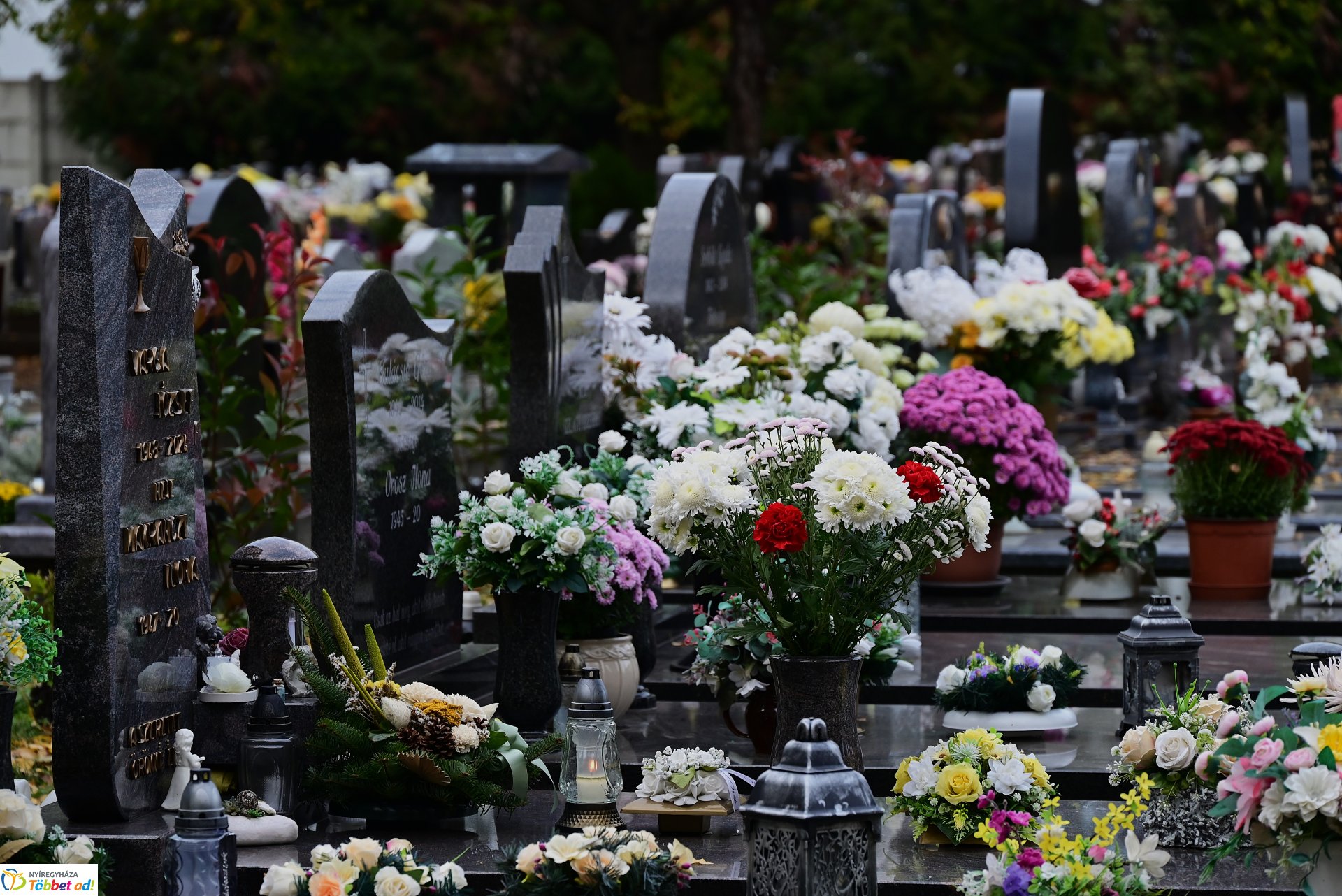Millió színben pompázik az Északi temető