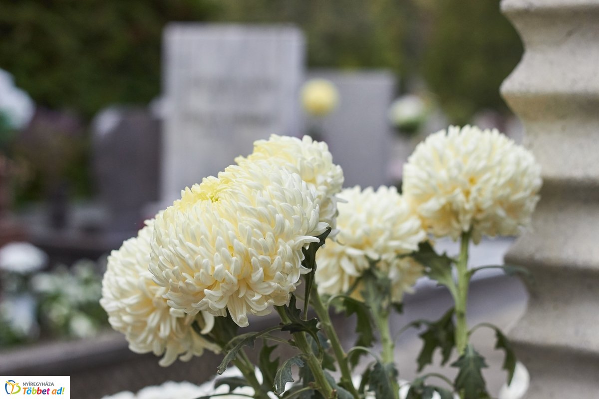 Mindenszentekre készülve