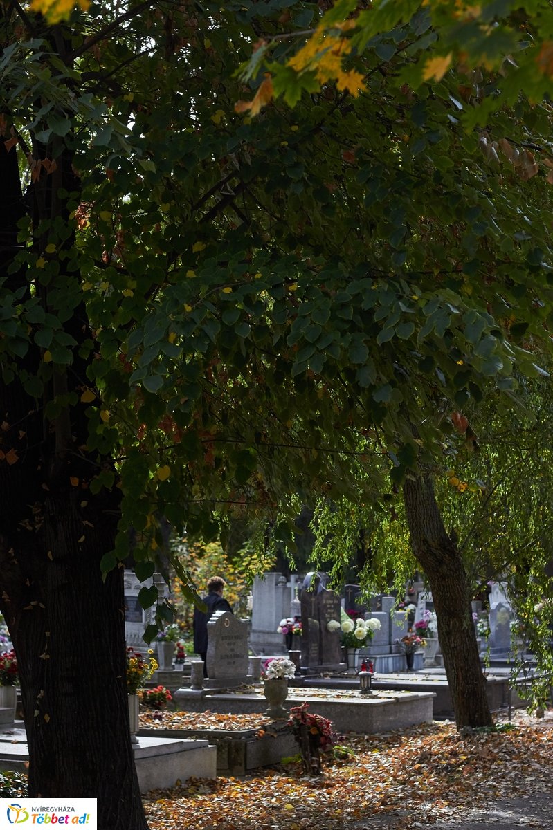 Mindenszentekre készülve