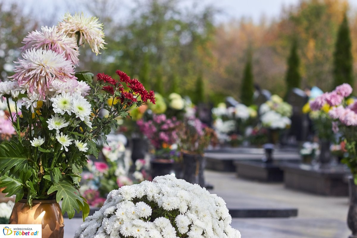 Mindenszentekre készülve