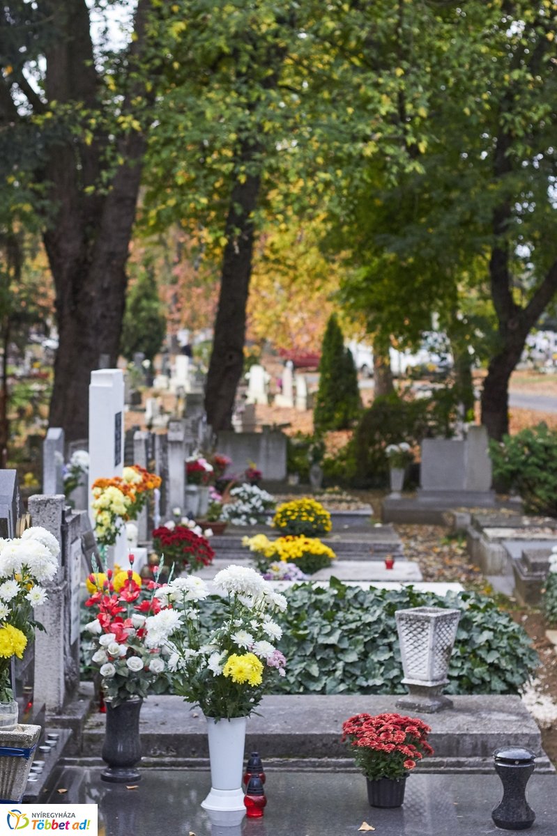 Mindenszentekre készülve