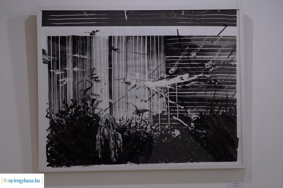 Mitroi Tímea kiállítása a Pál Gyula teremben