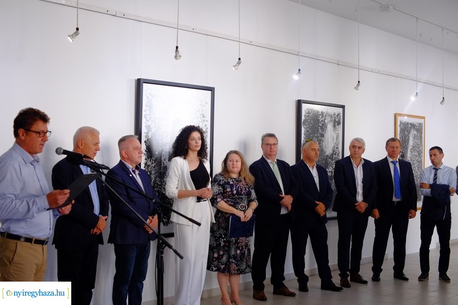 Mitroi Tímea kiállítása a Pál Gyula teremben