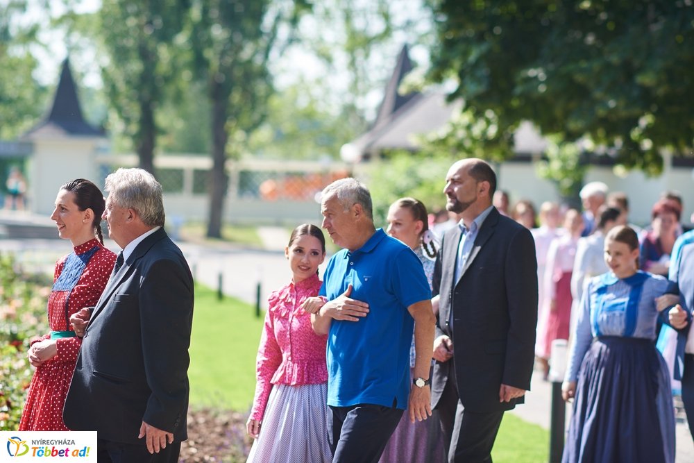 MJVSZ 2019 - faültetés 1