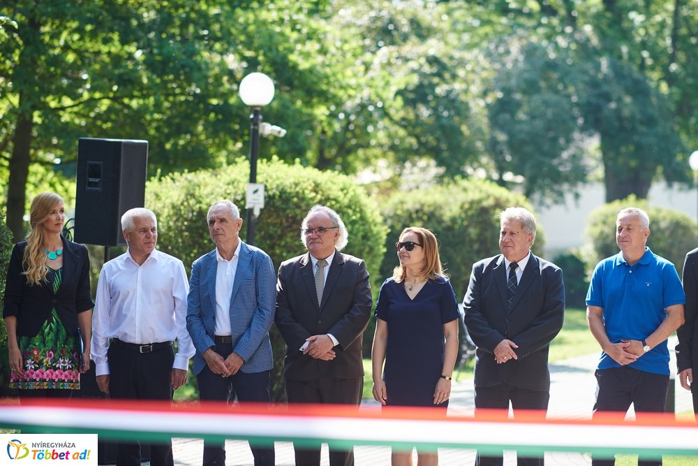 MJVSZ 2019 - faültetés 1