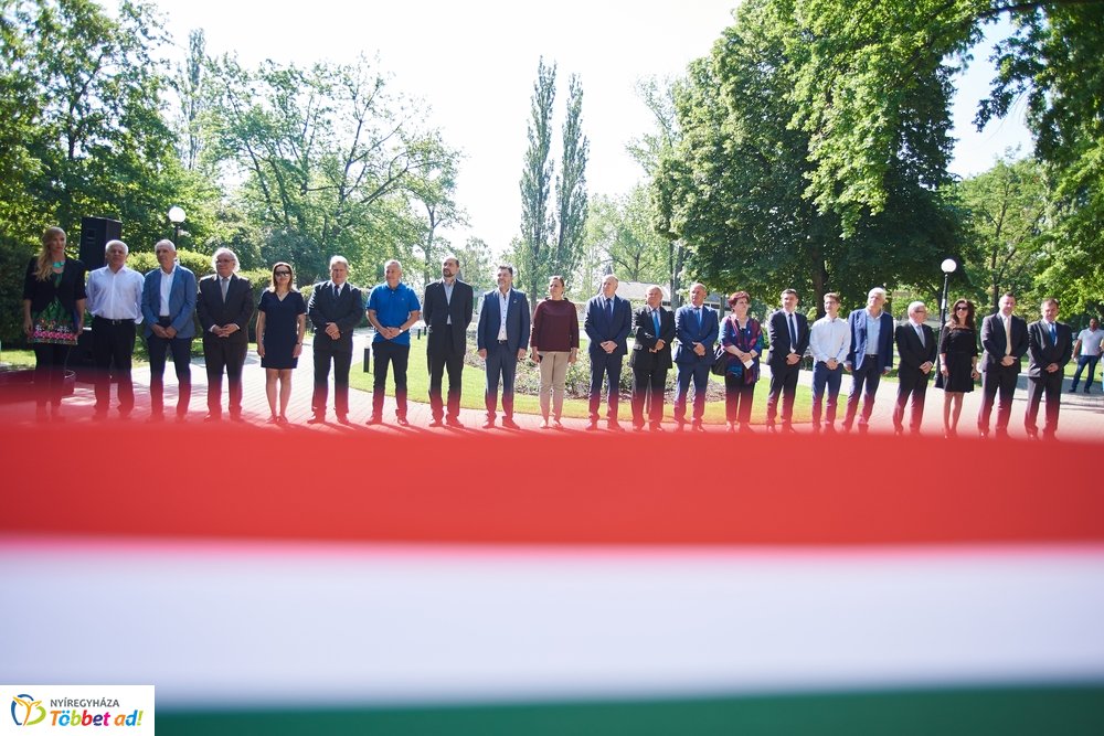 MJVSZ 2019 - faültetés 1