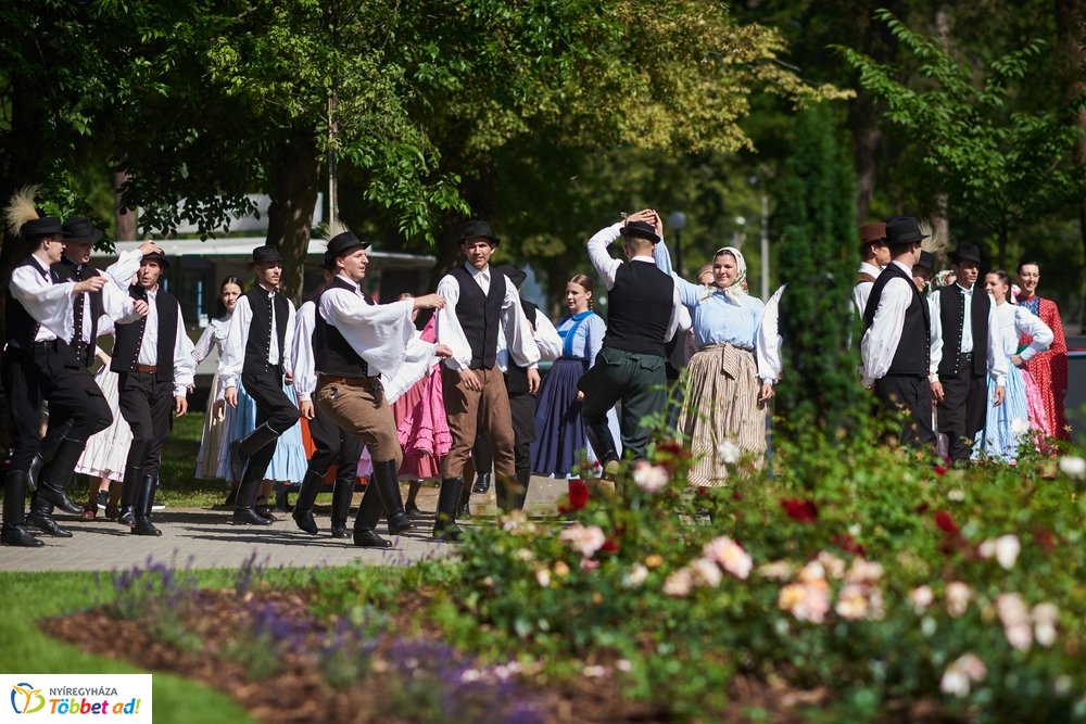 MJVSZ 2019 - faültetés 1