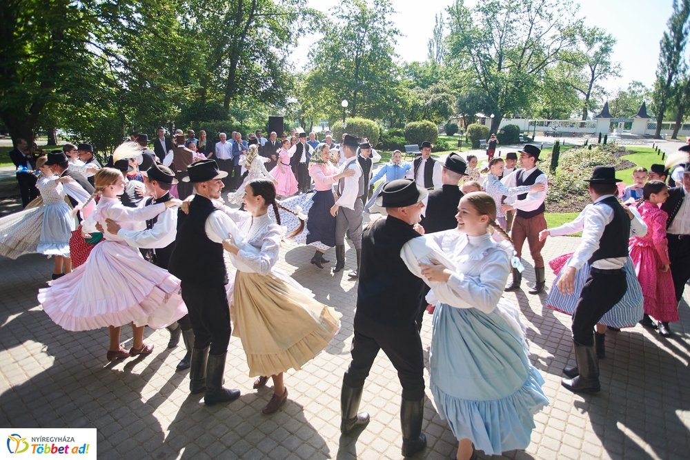 MJVSZ 2019 - faültetés 1