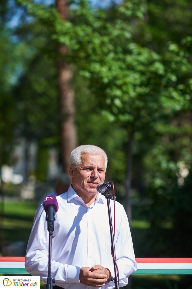 MJVSZ 2019 - faültetés 1