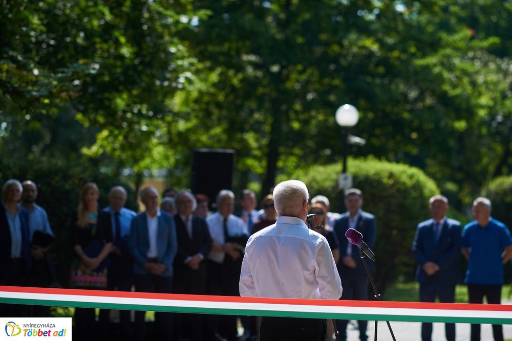 MJVSZ 2019 - faültetés 1